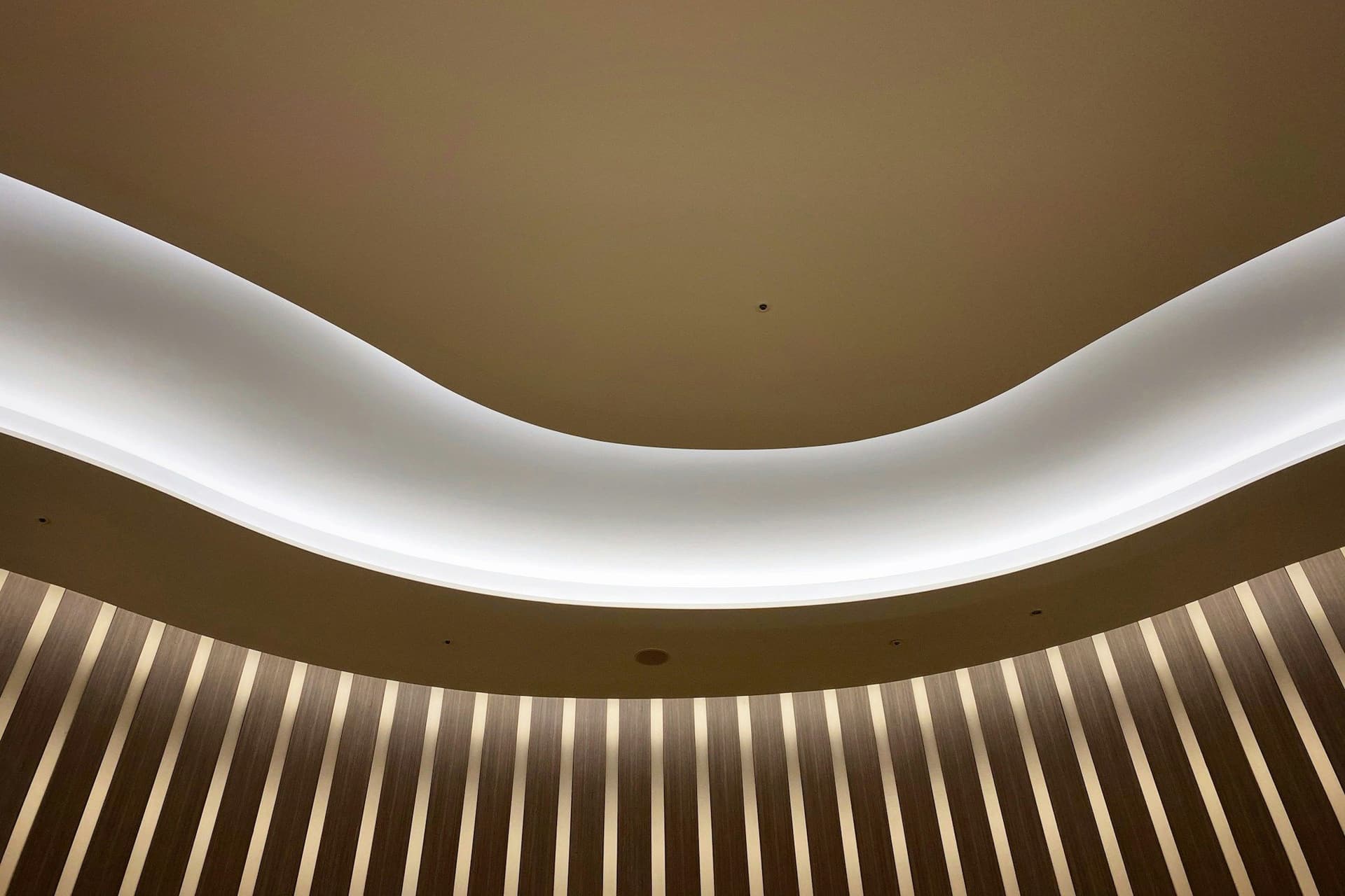 Curved white ceiling edge lit by a soft cove light above vertical timber wall slats