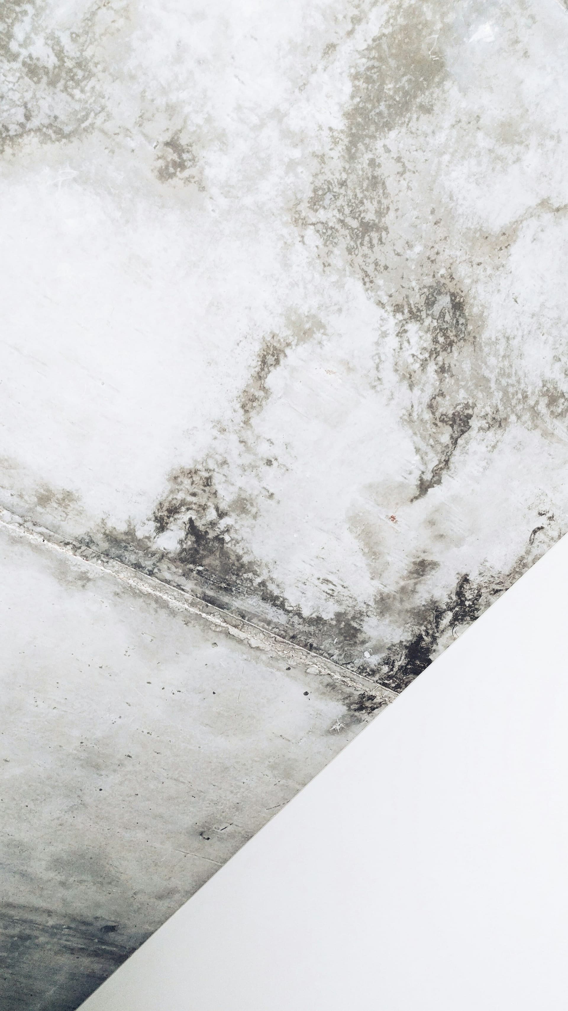 White wall and ceiling edge spotted with gray and black mold along the junction