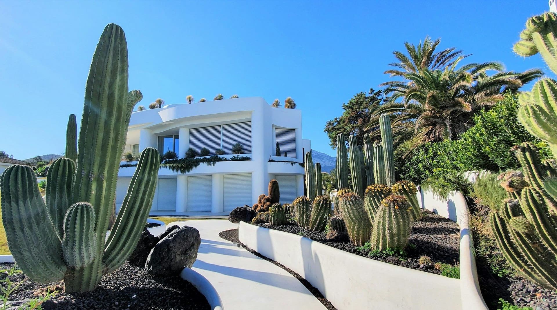 White modern house behind a curving white path and tall cactus plants under a bright blue sky