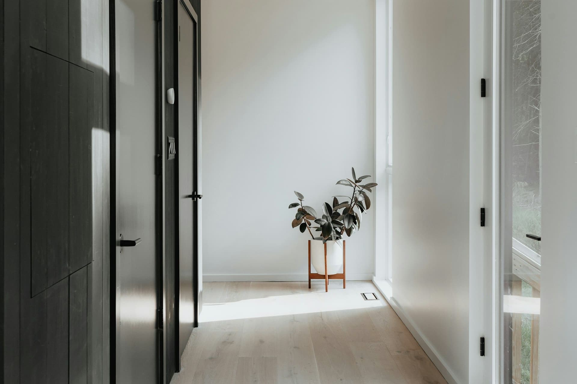Bright hallway with a pale wood floor, white walls, dark doors and a potted plant in a wooden stand
