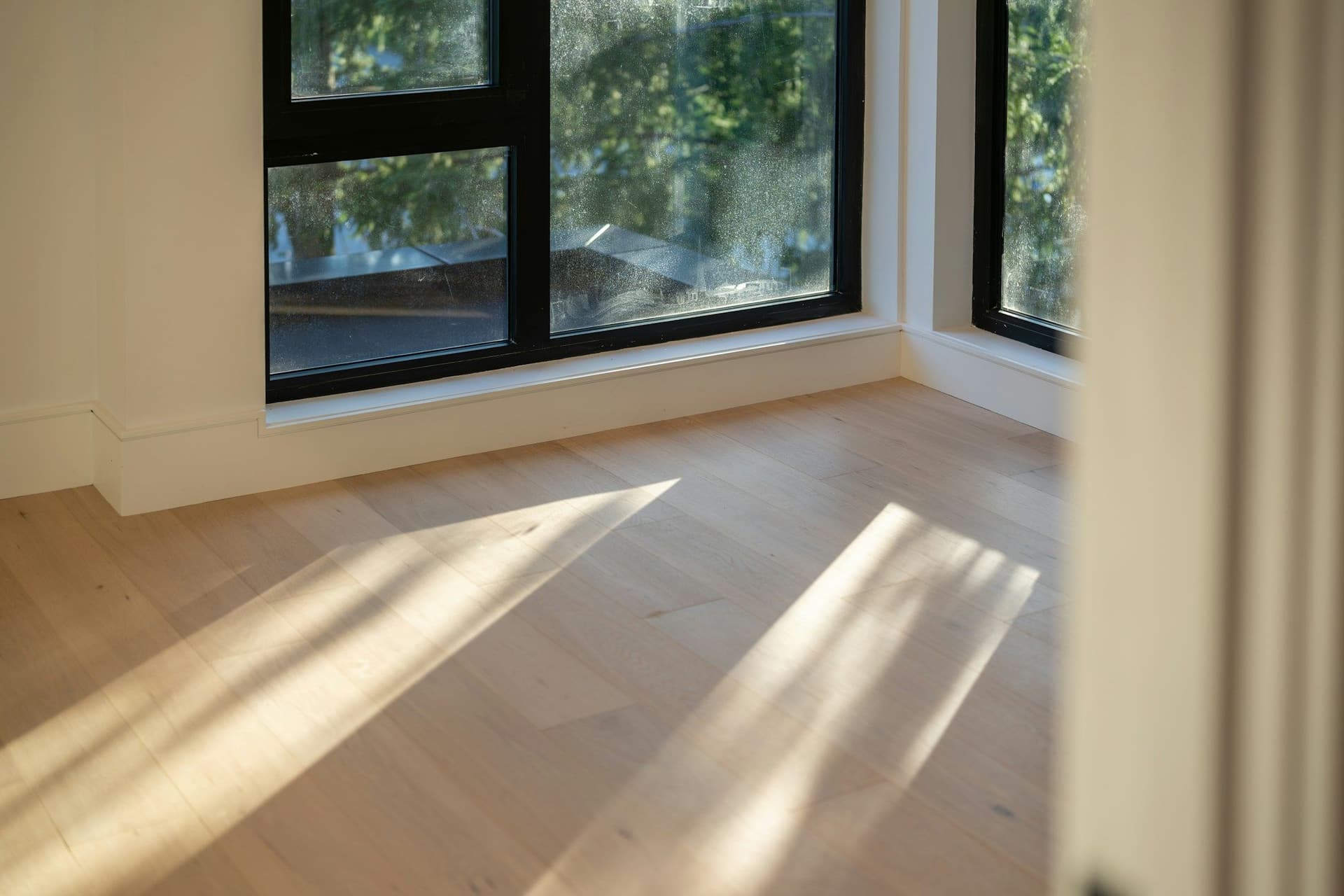 Sunlight falling across light wood floorboards in the corner of a room with black-framed windows